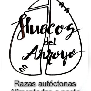 PRODUCCION HUECOS DEL ARROYO